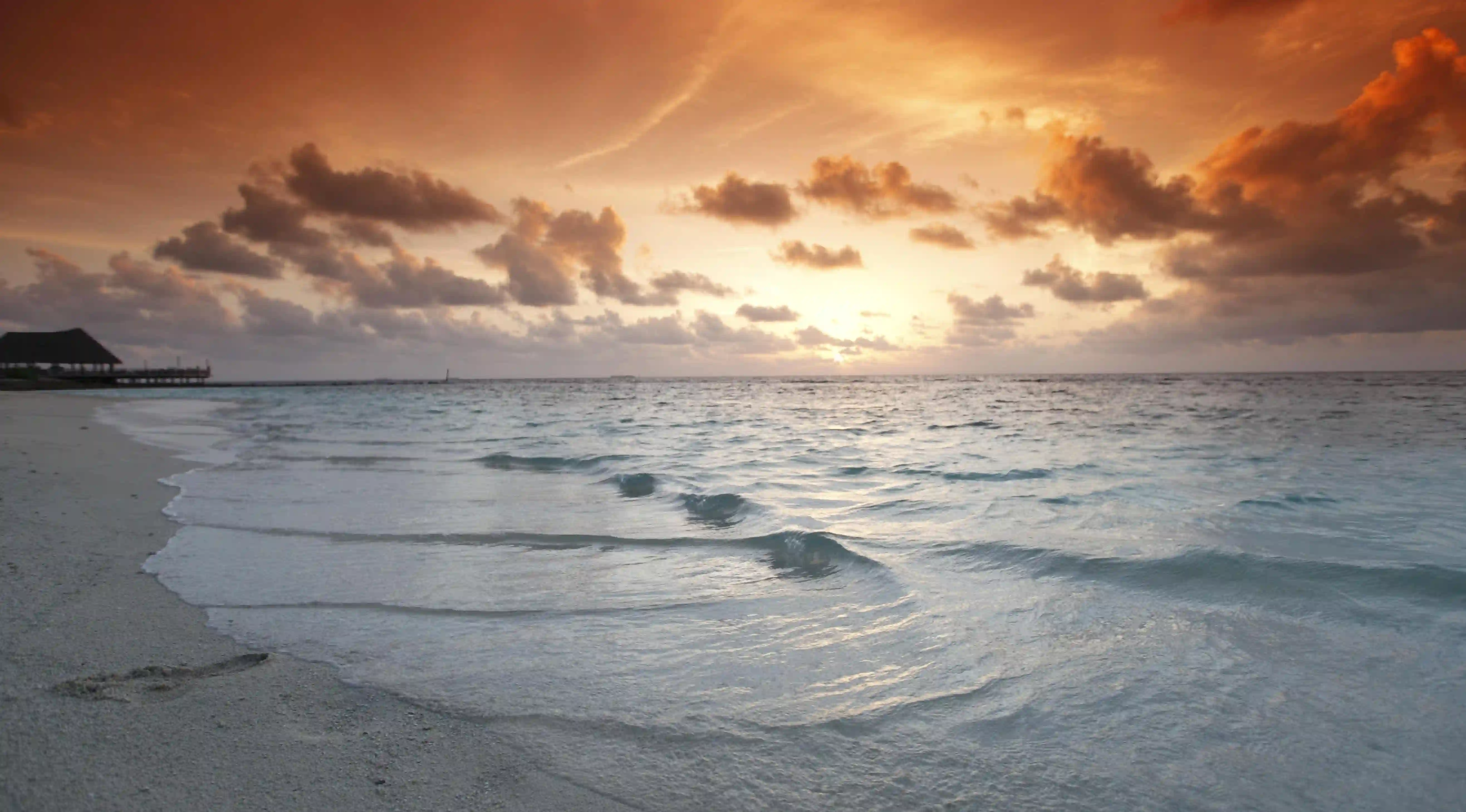 免運促銷策略介紹:100種方案提升消費者購買動力