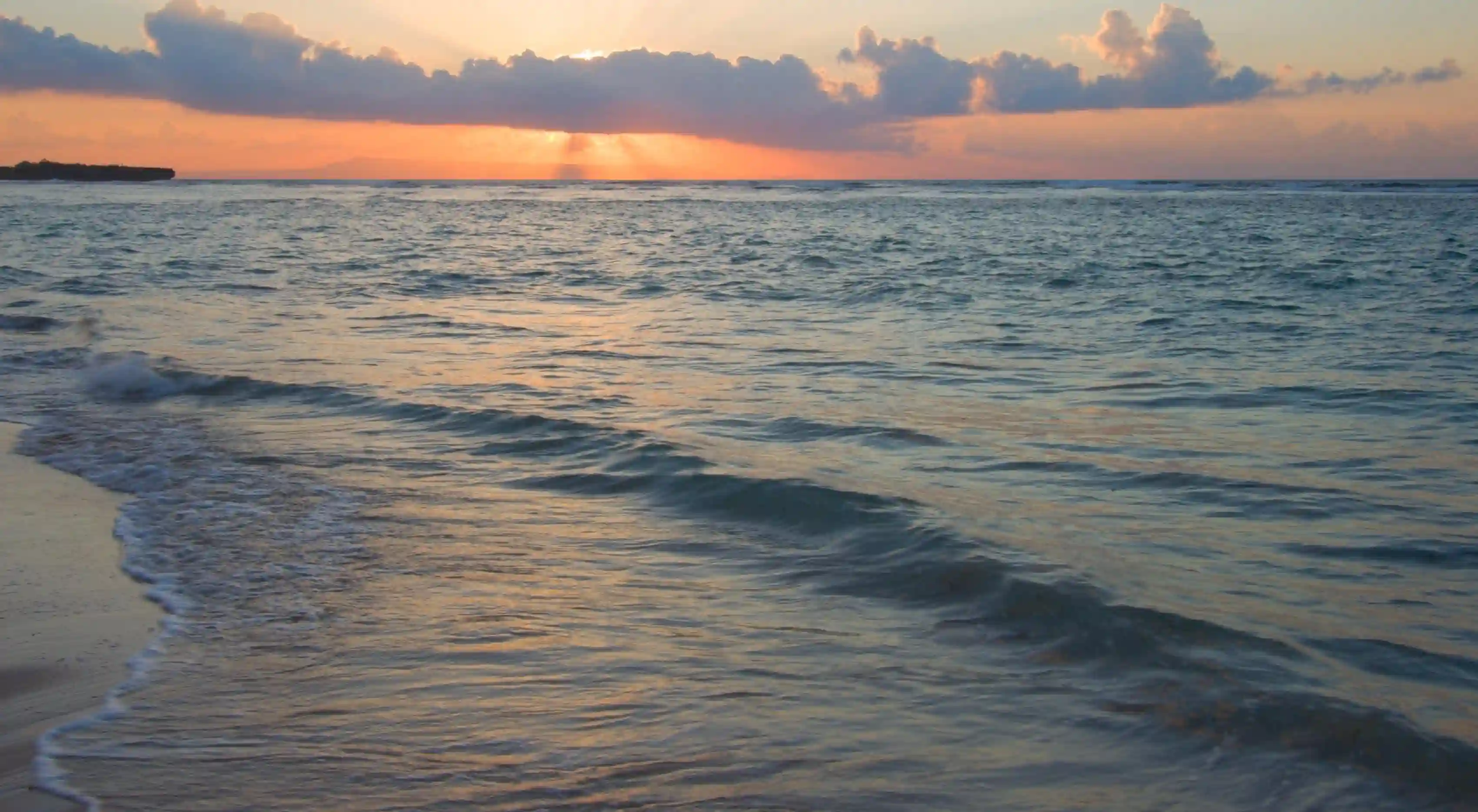 寒冷的秘密：如何利用低溫保持健康與苗條身材