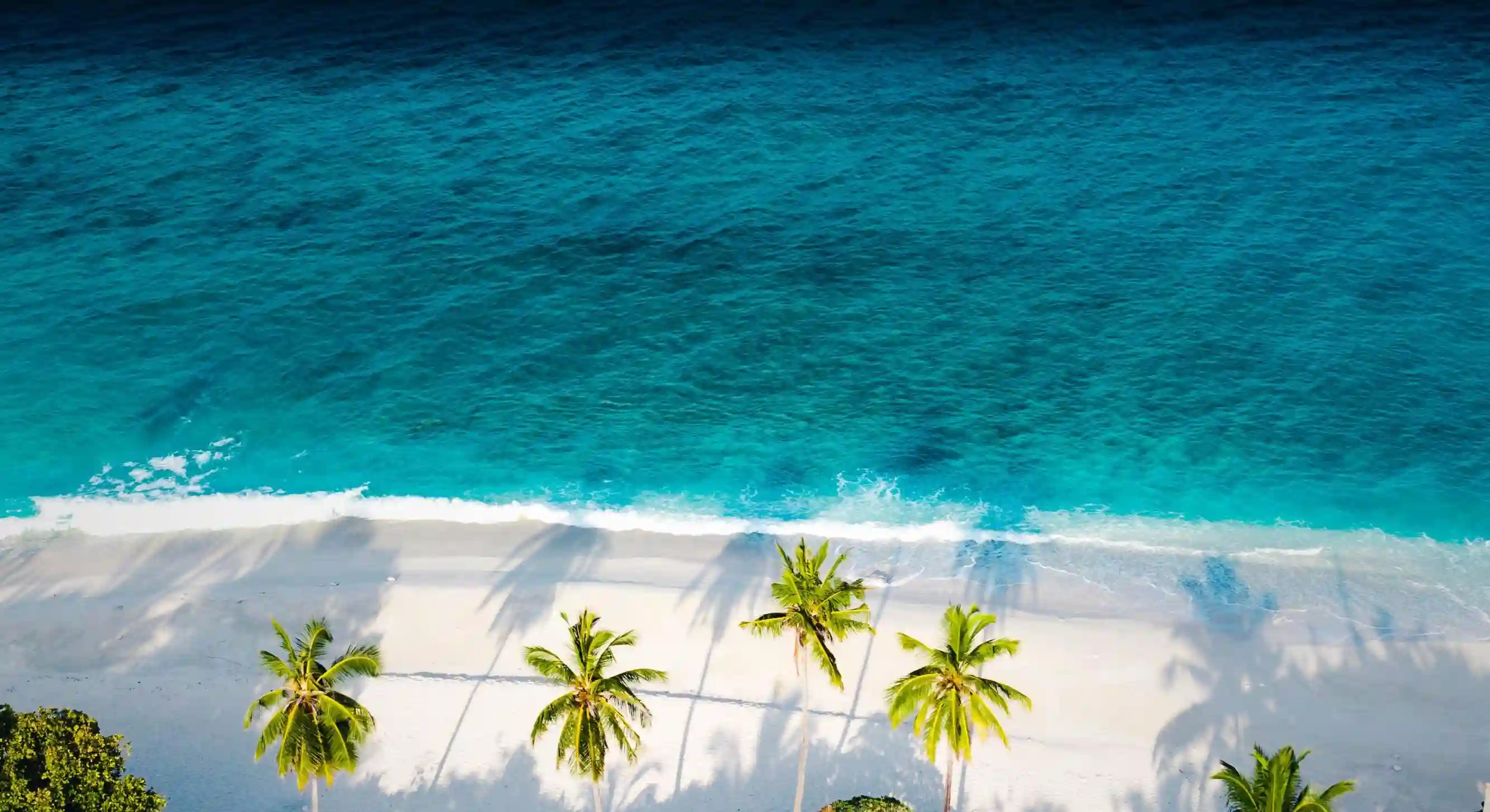 3個理由告訴你：足弓襪有效嗎？深入分析與購買指南